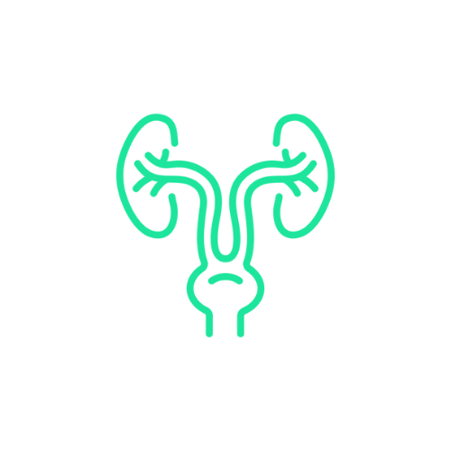 Urology and Genitourinary Surgery